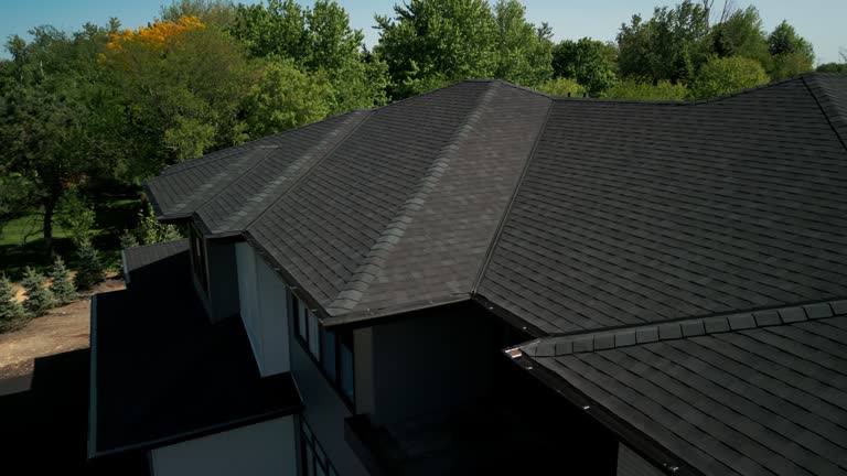 Best Roof Moss and Algae Removal  in Arkwright, SC