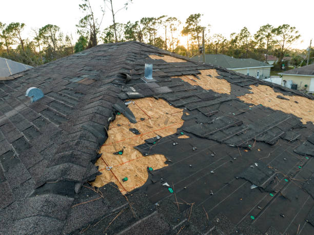 Best Gutter Installation and Repair  in Arkwright, SC